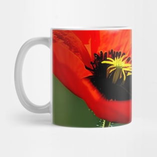 Close Up in a Field of Red Poppies (MD23Mrl009) Mug